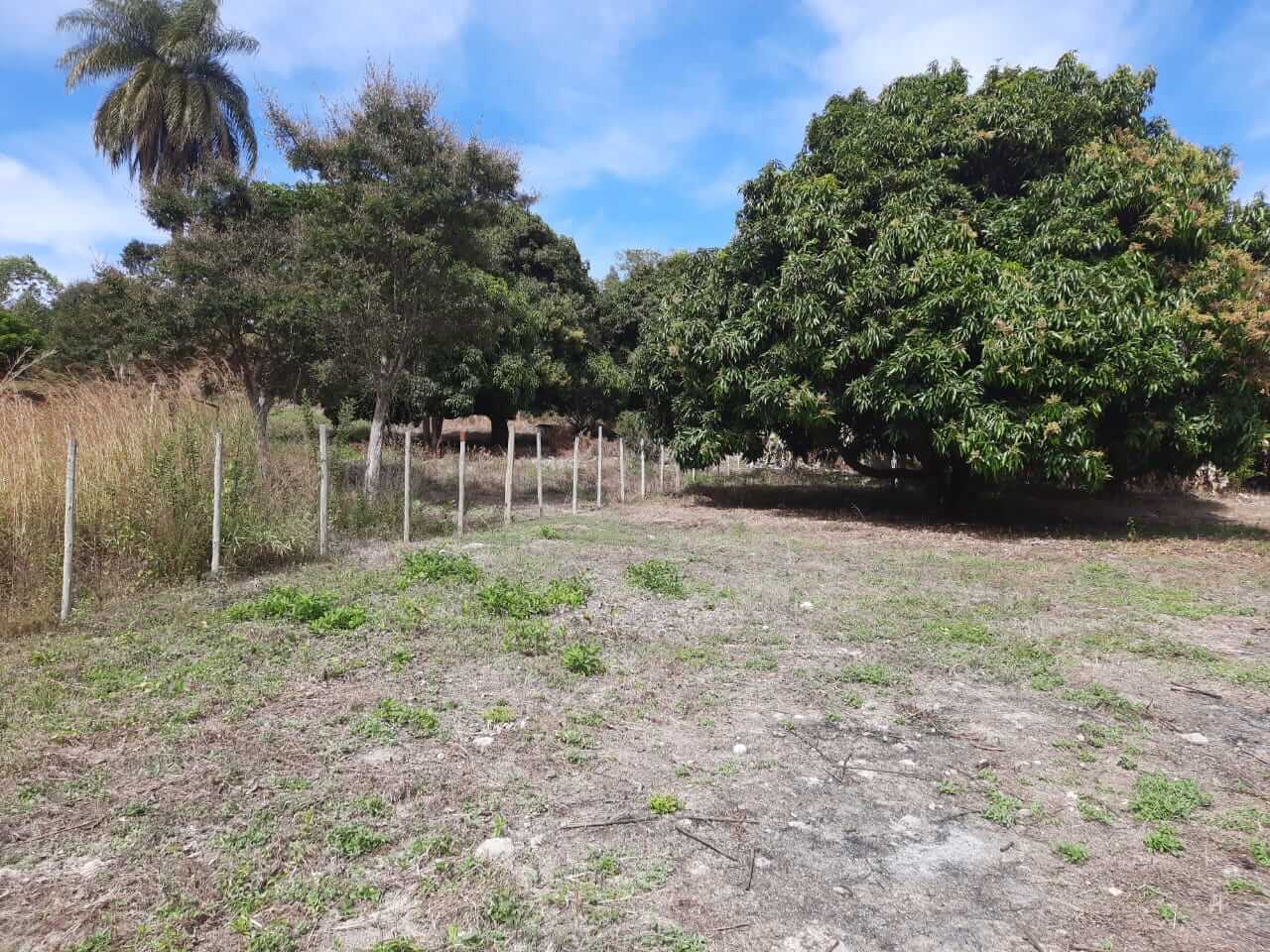 terreno a venda em Capelinha